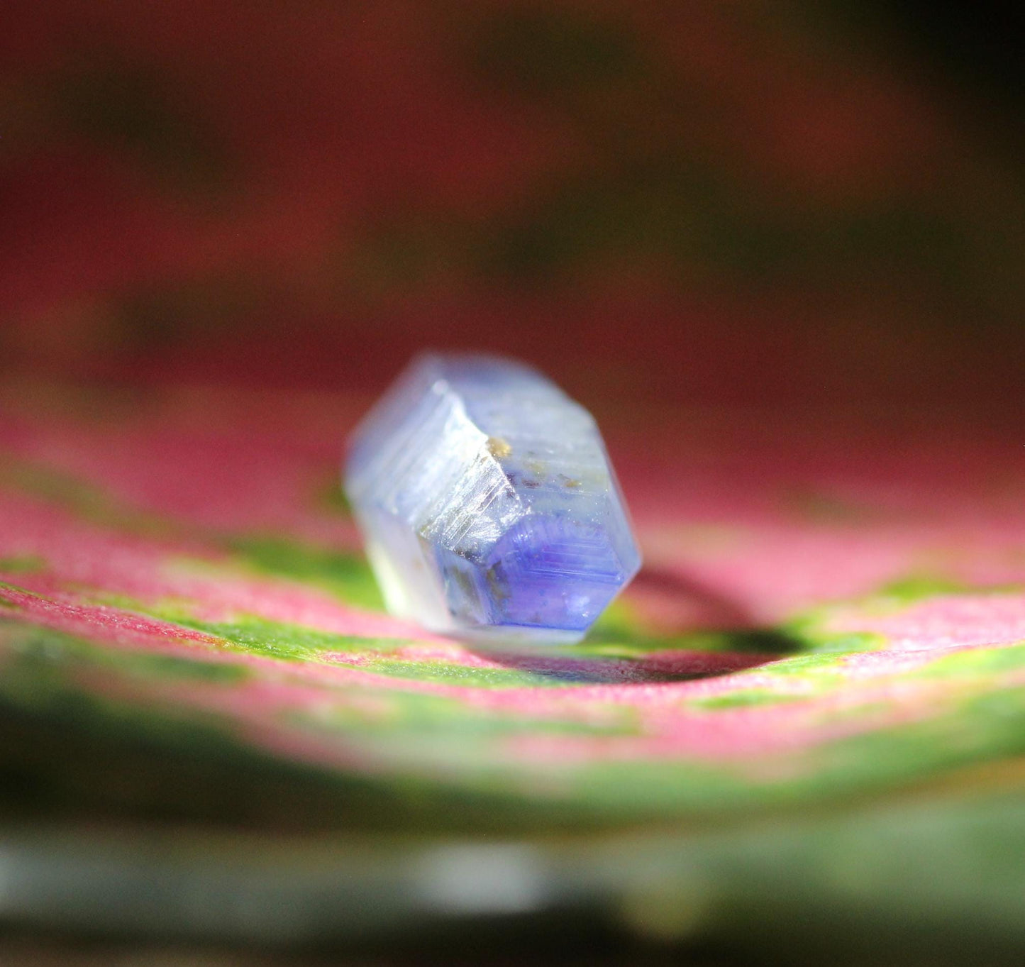 Beautiful Blue Sapphire Crystal (Corundum) with great transparency and luster, from Sri Lanka (Ceylon), 3.12cts 11.1mm, Doubly terminated