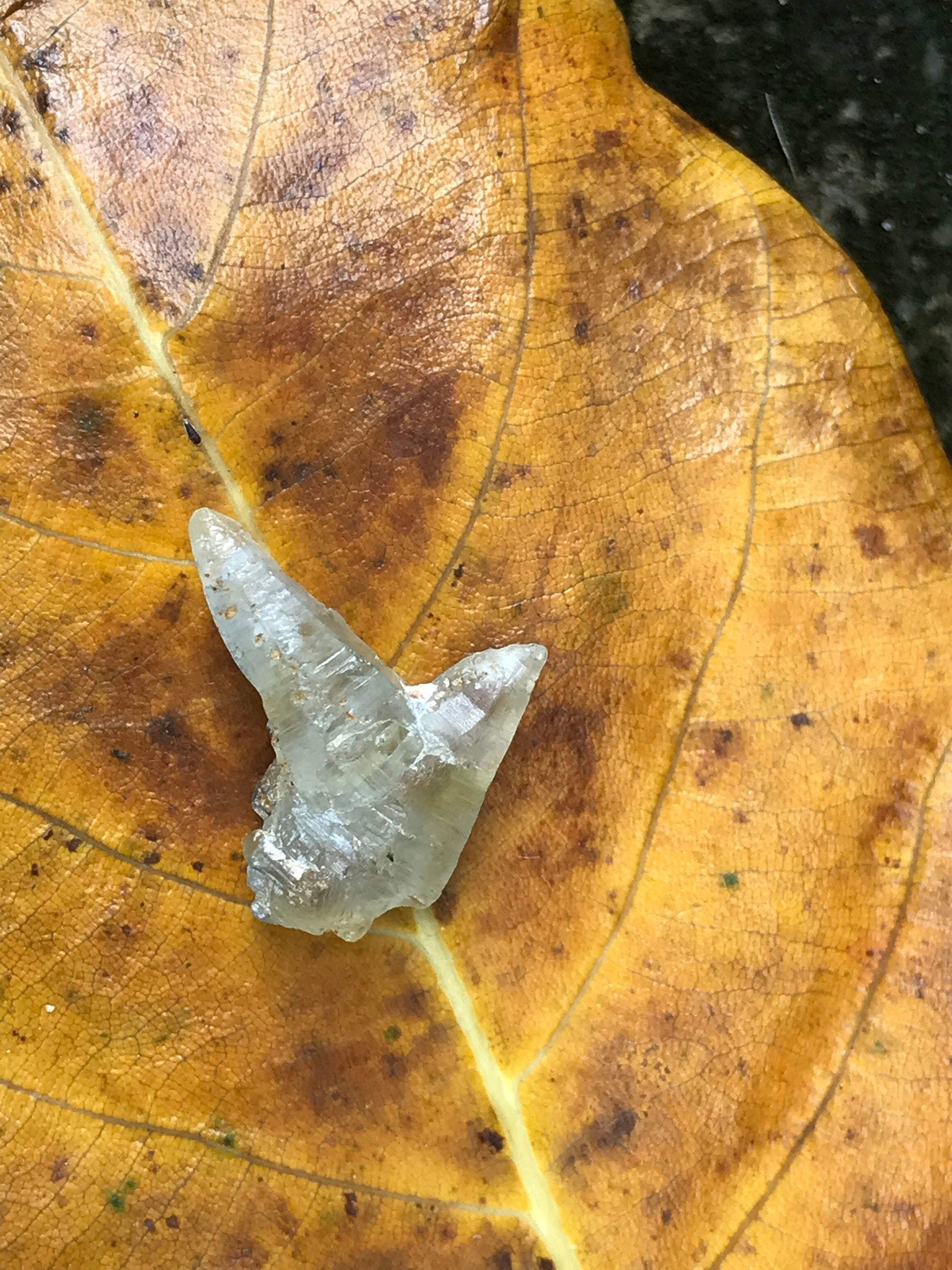 Very Unique White Twin Sapphire Crystal (Corundum) - 13.52 carats , 21.50 mm