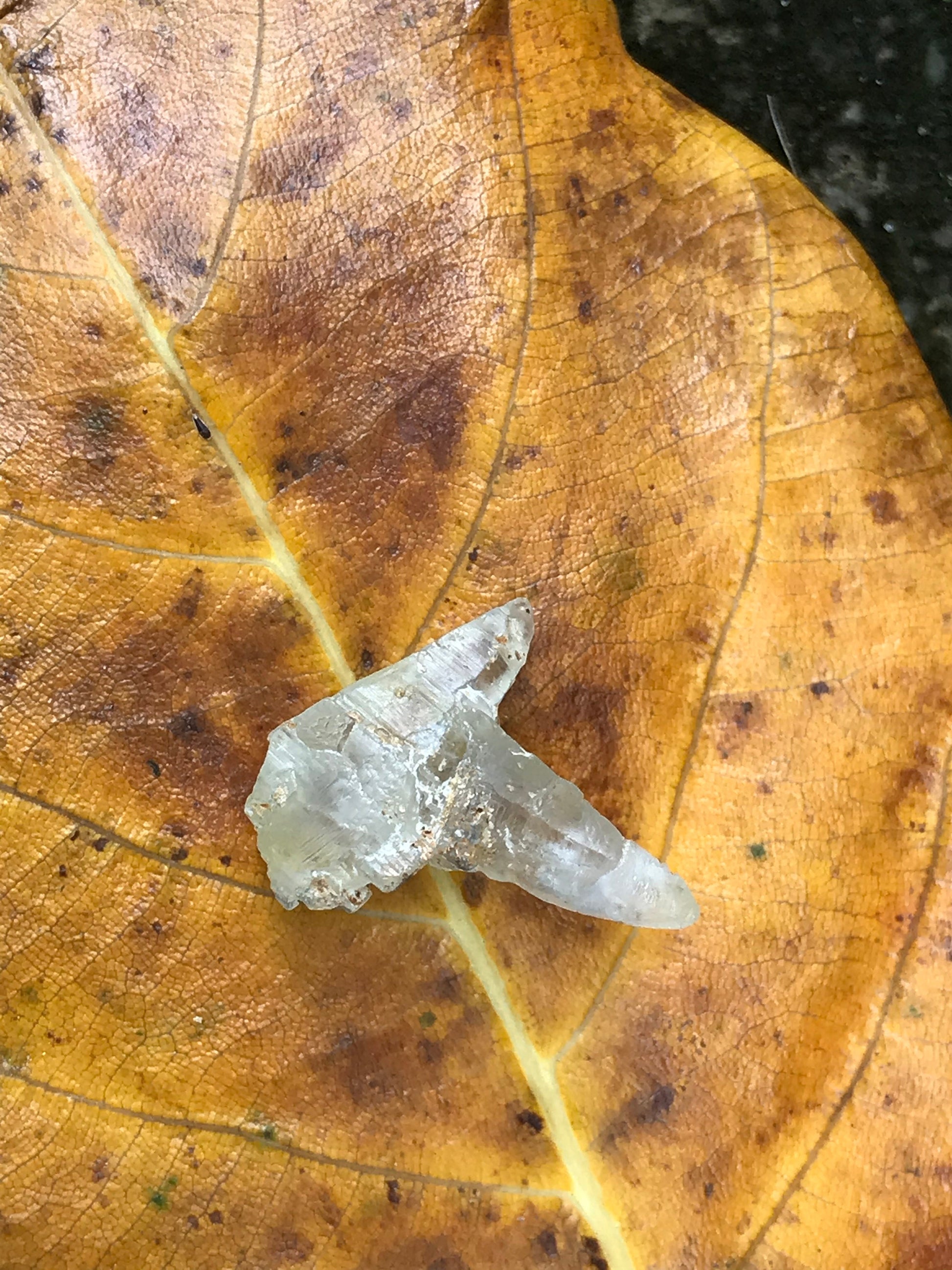 Very Unique White Twin Sapphire Crystal (Corundum) - 13.52 carats , 21.50 mm