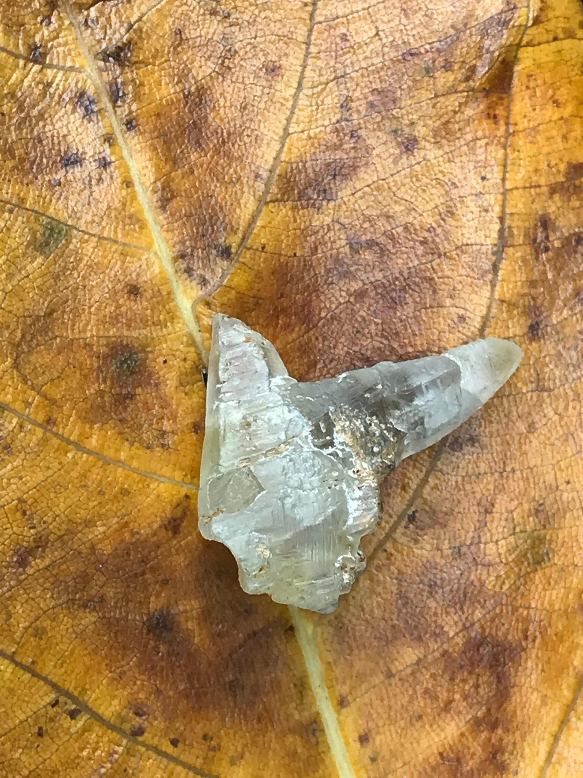 Very Unique White Twin Sapphire Crystal (Corundum) - 13.52 carats , 21.50 mm