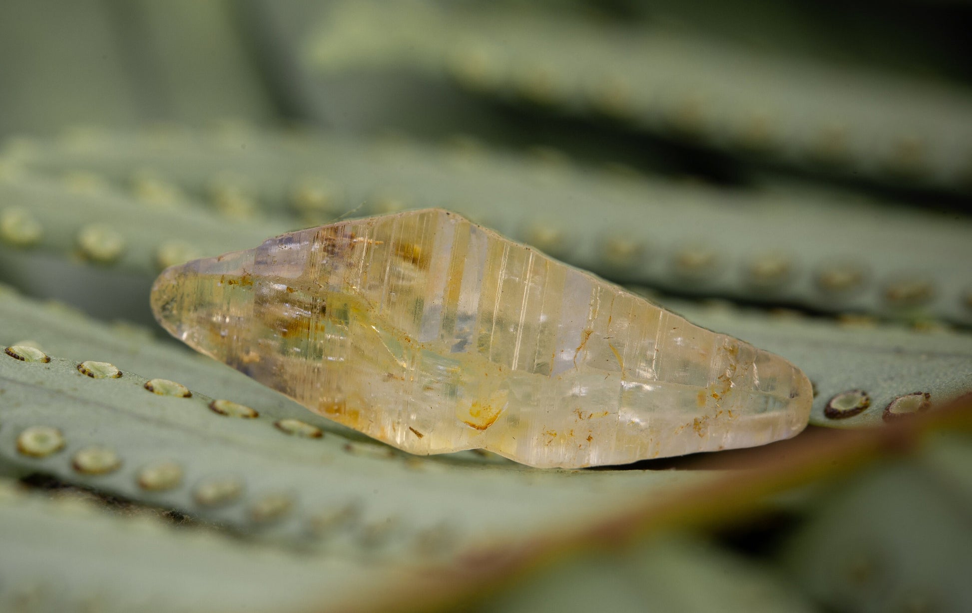 Light Yellow Sapphire (Corundum) Crystal with Great Luster, from Sri Lanka (Ceylon). Doubly Terminated,5.76 cts, 19.2 mm