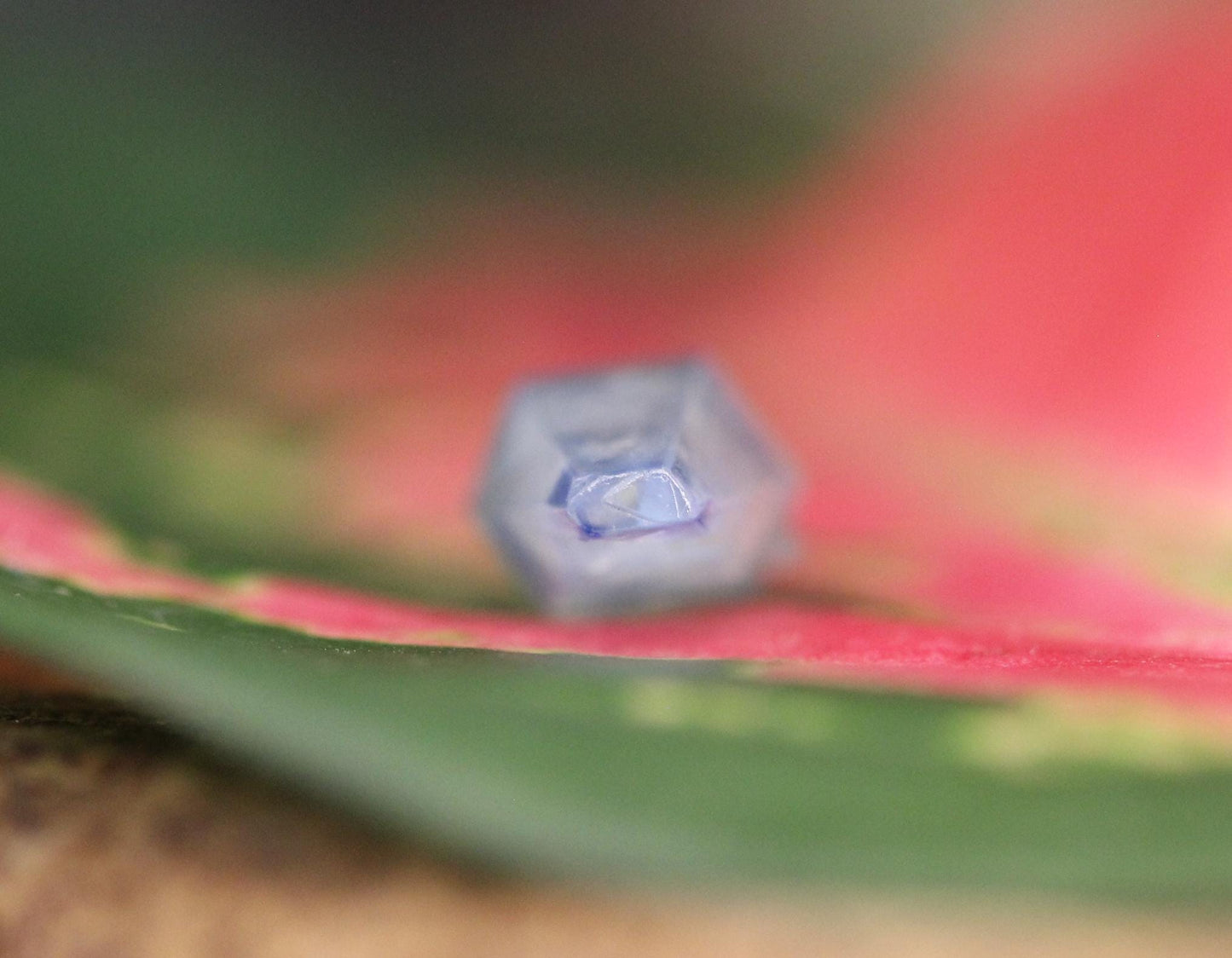 Beautiful Blue Sapphire Crystal (Corundum) ,Doubly Terminated, from Sri Lanka (Ceylon) , 5.47 cts, 18.30 mm, September Birthstone